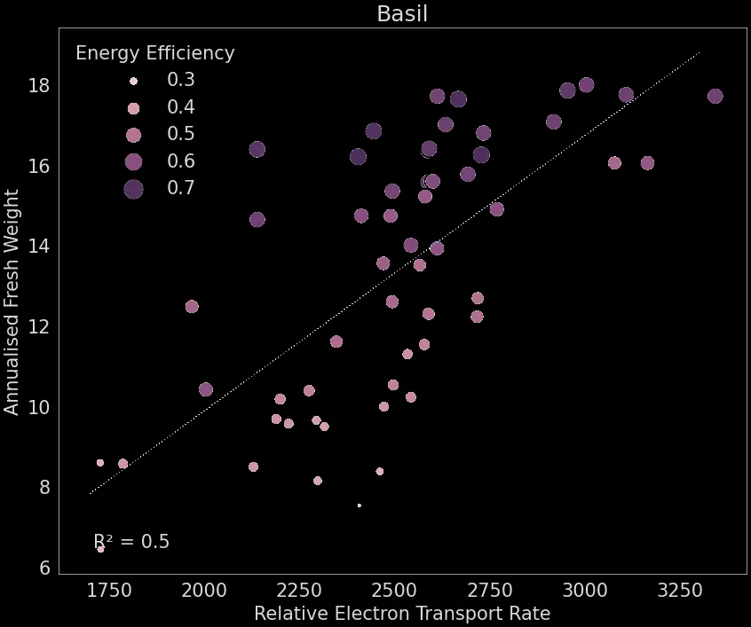 Scatter chart showing basil photosynthetic efficiency measurements correlated with fresh weight and productivity