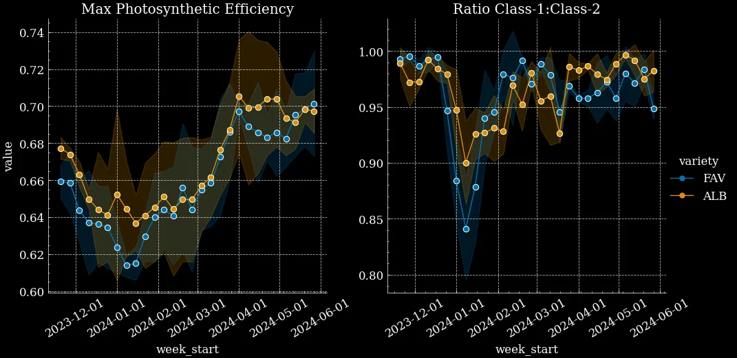 Fig.1 Left: Chlorophyll fluorescence values of max photosynthetic efficiency in Albion and Favori berries over the winter season. Right: ratio of class-1 to class-2 berries fell from 1.00 to 0.85, showing an 15% decrease in top-grade yield.
