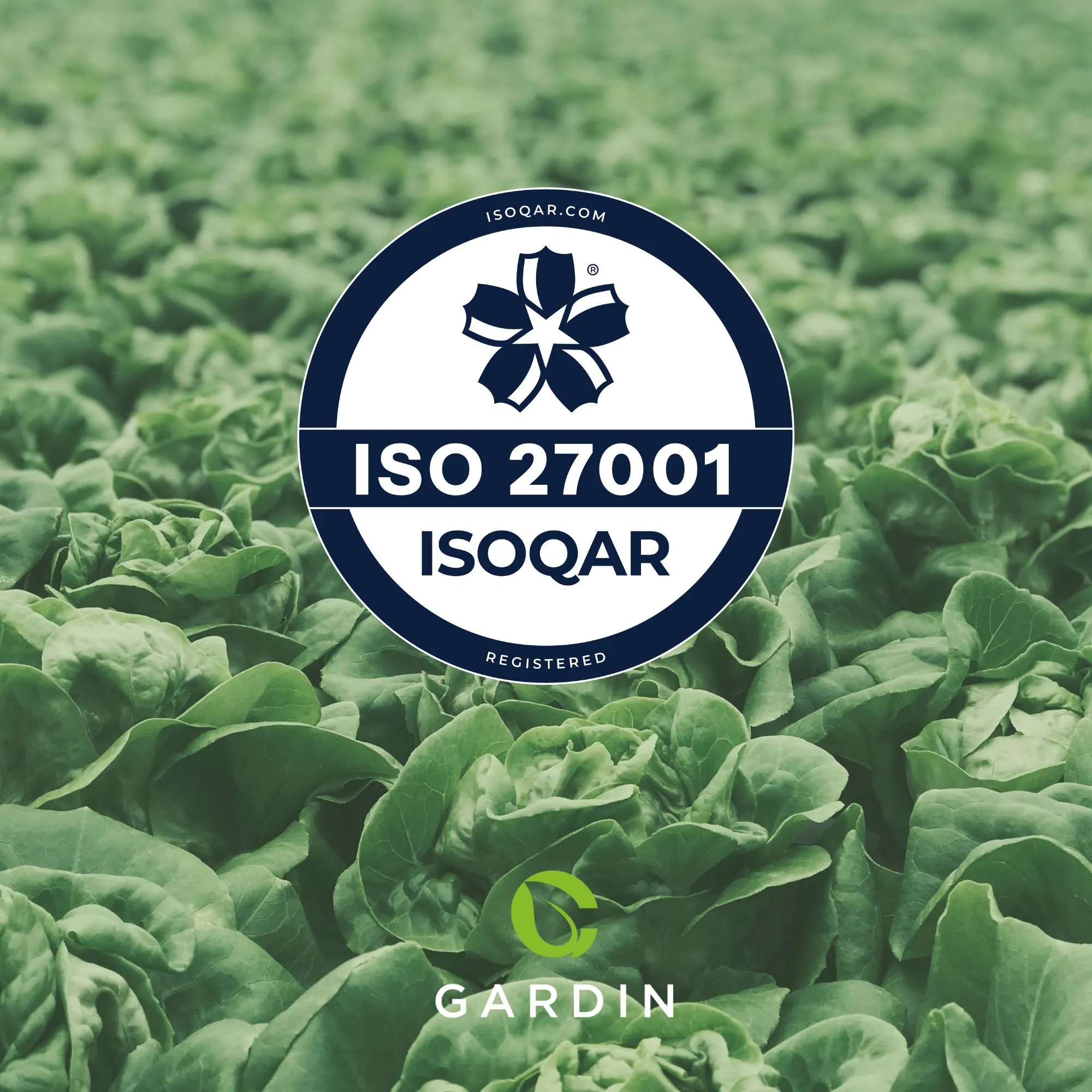 Gardin successfully achieves re-accreditation of the ISO 27001 certification!